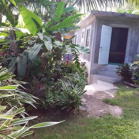 Port Antonio Brian'S Beach House 외부 사진