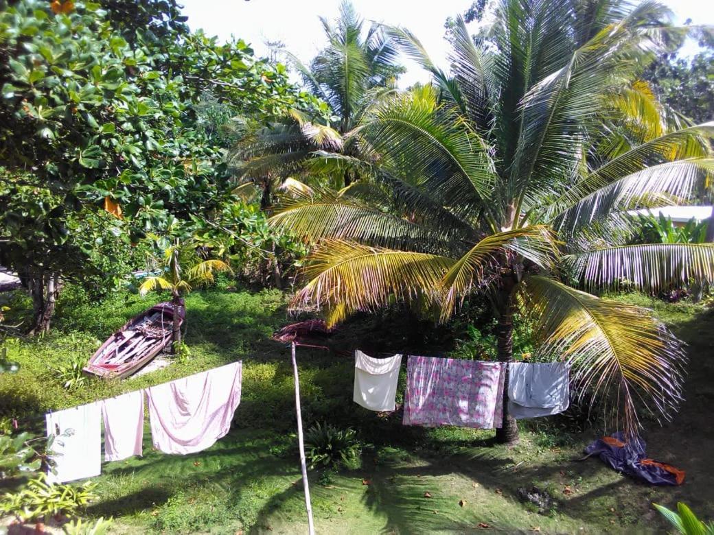 Port Antonio Brian'S Beach House 외부 사진