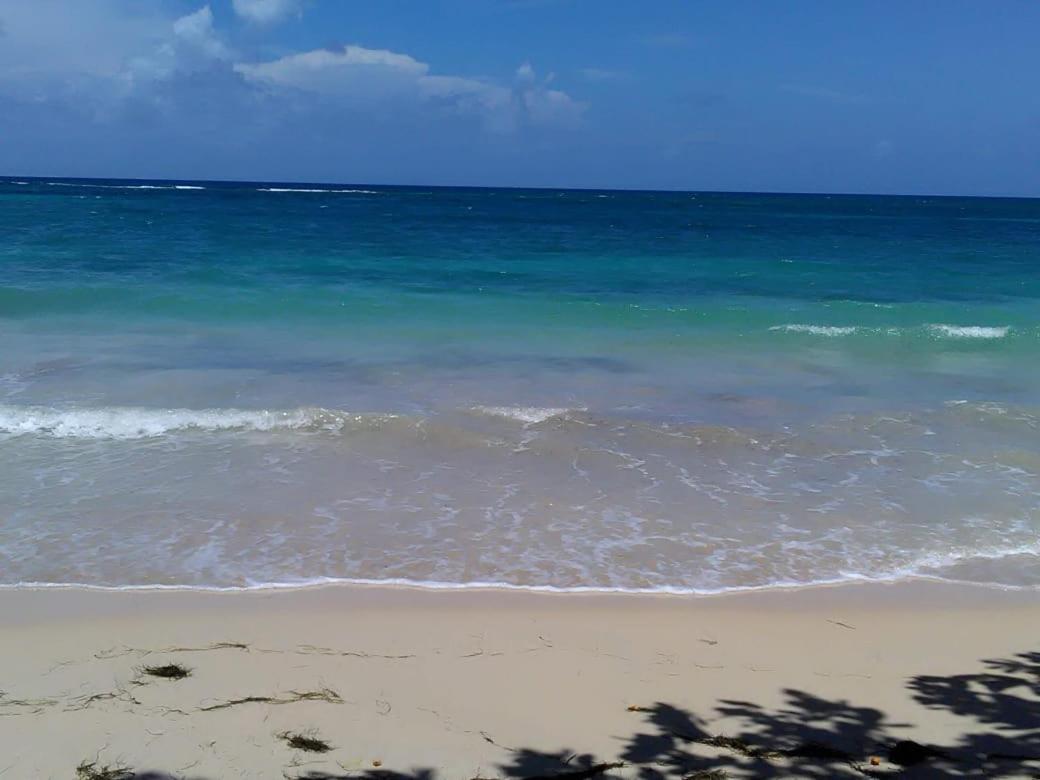 Port Antonio Brian'S Beach House 외부 사진