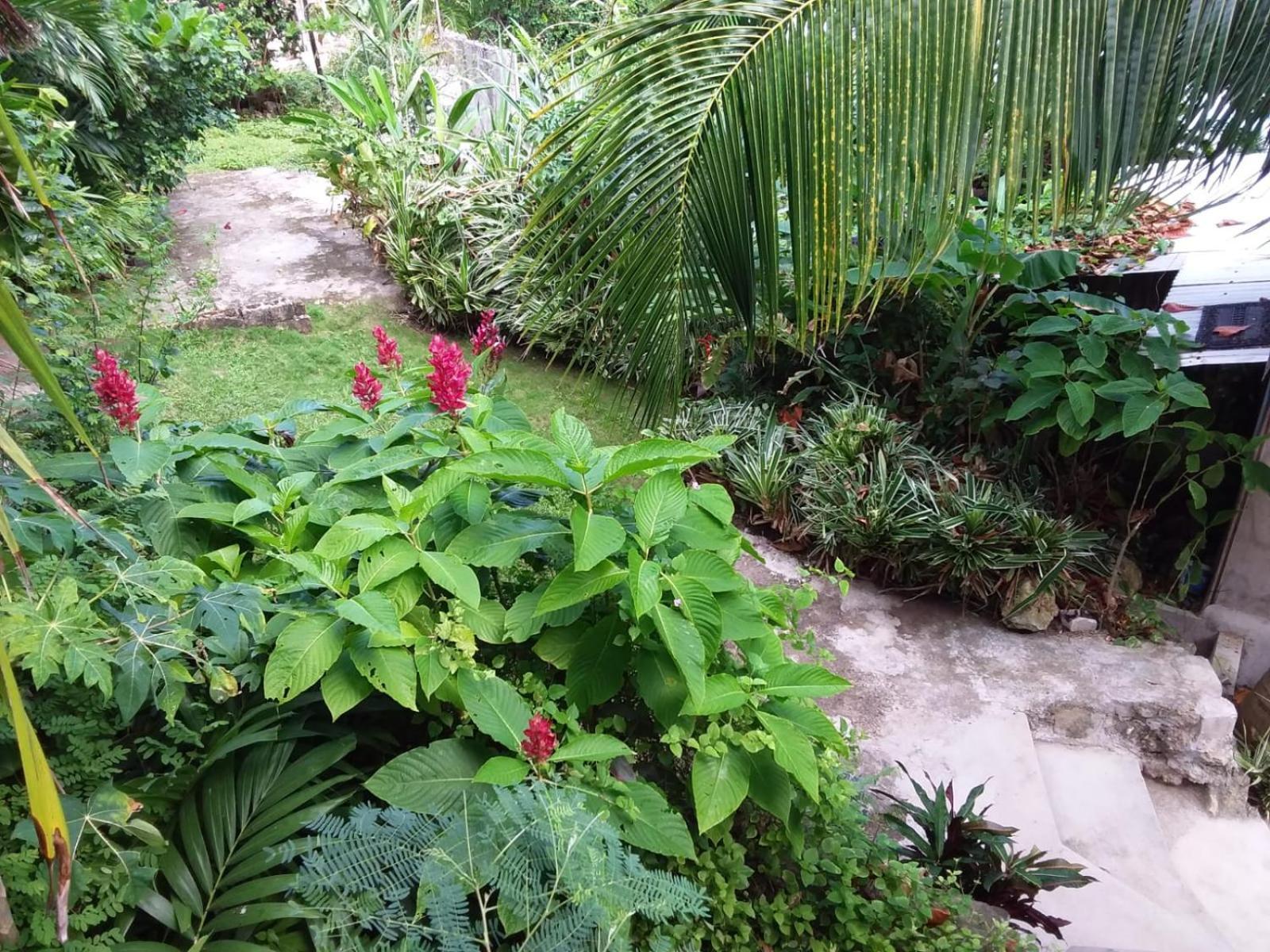 Port Antonio Brian'S Beach House 외부 사진