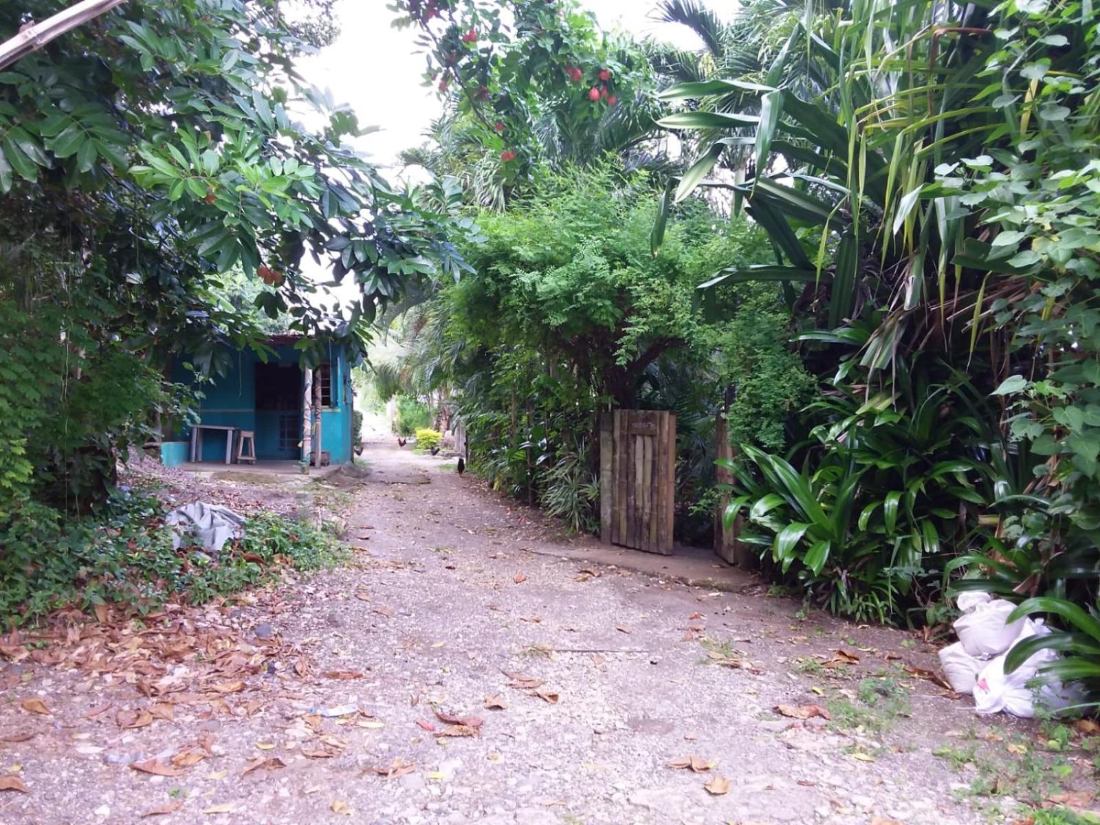 Port Antonio Brian'S Beach House 외부 사진