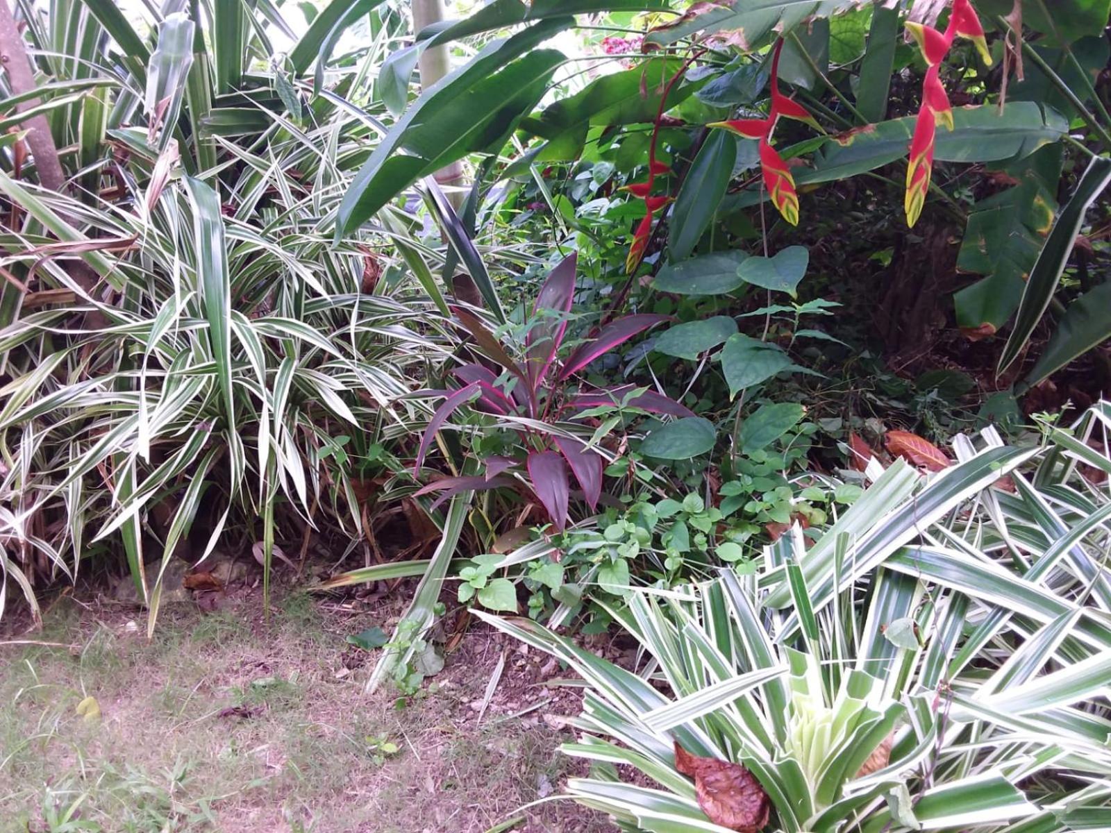 Port Antonio Brian'S Beach House 외부 사진