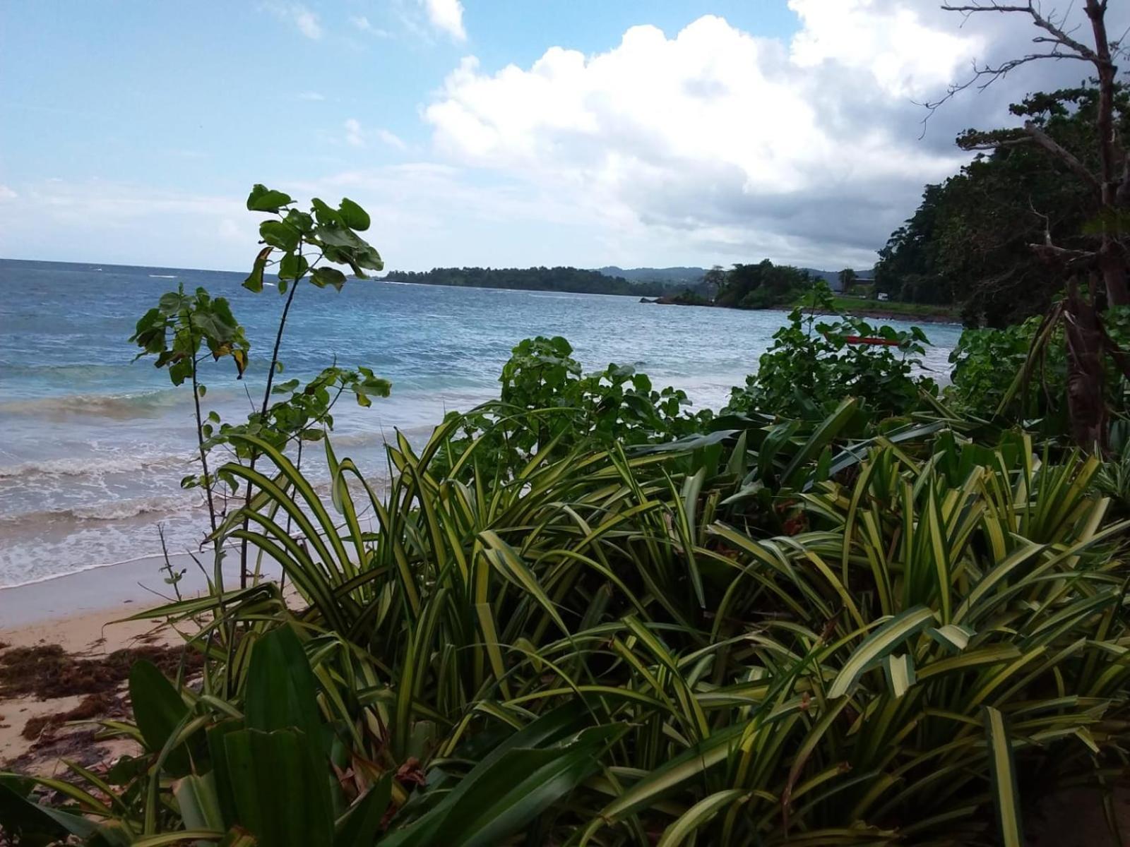 Port Antonio Brian'S Beach House 외부 사진