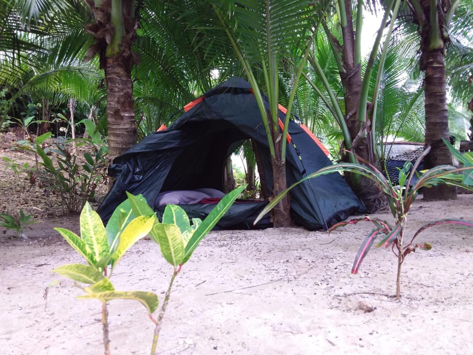 Port Antonio Brian'S Beach House 외부 사진