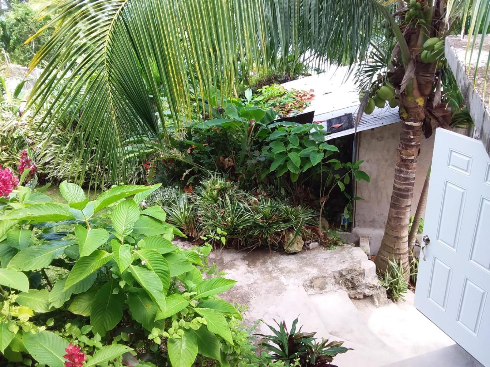 Port Antonio Brian'S Beach House 외부 사진